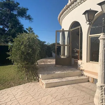 Pascal تورّيفيِخا
